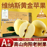 秦悅仙果鮮山東維納斯黃金蘋果奶油水果蘋果脆甜應(yīng)季新鮮水果送人送禮 【4-6個】嘗鮮裝單果100g起