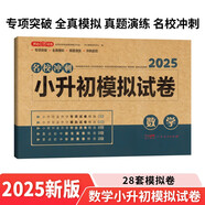 小升初數(shù)學(xué)模擬試卷 2025版年名校沖刺專項(xiàng)突破全真模擬測(cè)試卷真題卷必刷題小學(xué)生畢業(yè)升學(xué)總復(fù)習(xí)書