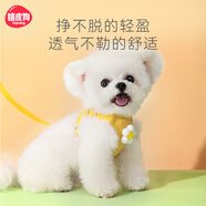 嬉皮狗小狗狗牽引繩背心式遛狗繩子小型犬胸背帶狗鏈子 S碼 建議1-6斤
