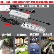 科日超聲波霧化器魚(yú)池水池水景造霧器假山流水景觀(guān)霧化器起霧器水霧起霧器霧化板霧化頭工業(yè)加濕器配件 配套一：霧化器*1個(gè)+電源*1個(gè)【贈送浮標一對】