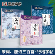 墨點字帖 行楷套裝3冊 經(jīng)典文化唐詩宋詞三百首名篇名言行楷練字帖高中大學(xué)生成人公務(wù)員考研臨摹字帖閱讀狂歡節(jié)