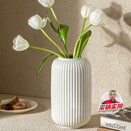 木丁丁陶瓷花瓶白簡(jiǎn)約風(fēng)歐式輕奢花器ins擺件水養鮮花干花插花擺件