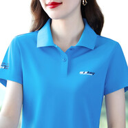 岸婷品牌冰絲t恤女短袖夏季新款女士polo衫翻領(lǐng)夏天有領(lǐng)半袖大碼上衣T 湖藍 2XL 【建議重110-120斤】