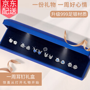 締晶銀針一周耳釘2025年新款耳環(huán)女生日禮物送女友輕奢高級感小眾氣質(zhì) T504 六對裝浪漫耳飾燈盒-999銀