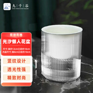 九千谷花盆自動吸水 懶人可儲水花盆室內(nèi)陽臺透明塑料小號口徑10cm4329