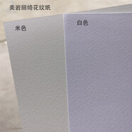 優(yōu)選原裝180克麗綺紋250克美巖紋 質(zhì)感花紋紙 a4打印紙 a3+封面紙粗面繪畫(huà) A4300克白色50張