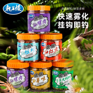 龍王恨魚餌統(tǒng)爆皮筋顆粒餌紅蟲蚯蚓草青大螞蚱打窩顆粒掛鉤皮筋釣餌窩料 皮筋顆粒-青草(100g/瓶)*2