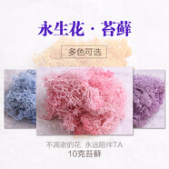 靚做永生花苔蘚手工材料包干花玫瑰花材料包苔蘚微景觀布置假草坪 永生苔蘚【粉色10g】