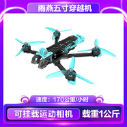 APEX雨燕5寸FPV穿越機已組裝全套到手飛沉浸式無人機比賽競速訓(xùn)練器材 單飛機無攝像款-不含電池/充電器 標配
