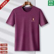稻草人（MEXICAN）夏季高檔短袖t恤男圓領(lǐng)冰絲半袖體恤衫大碼寬松打底衫上衣夏天男 圓領(lǐng)-1981-玫紅  2XL 180[建議150-170]