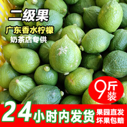 正宗廣東香水檸檬爆香新鮮無(wú)籽精品一級果 春季果皮偏厚汁少爆香 9斤（凈重二級果奶茶店口味）
