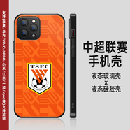 中超聯(lián)賽 上海 廣州 大連手機殼蘋(píng)果13/15華為安卓定制中國隊足球 山東泰山2【聯(lián)系客服備注機型】 經(jīng)典黑玻璃殼 下單備注手機型號