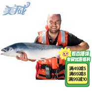 美威冷凍智利 三文魚禮盒凈重12斤 整條輪切禮盒 大西洋鮭魚 海鮮