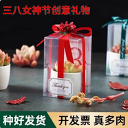 墨一【送貨上門(mén)】多肉植物帶盆組合套裝多肉辦公室綠植花卉三八節(jié)禮物 多肉禮盒6套