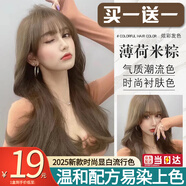 綠宸（2盒裝）染發(fā)劑膏植物男女士染頭發(fā)遮蓋白發(fā)非泡泡純染發(fā)膏400ml 薄荷米棕 200ml*1盒 771