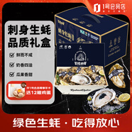 燈塔水母【刺身生蠔】鮮活可生食乳山生蠔刺身牡蠣源頭直發(fā)2XL*18只禮盒裝