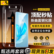惠舟【秒貼2片裝】vivo手機鋼化膜防窺無(wú)塵倉全屏保護膜適用 vivo S17/pro/S17e丨曲面屏 電鍍超清款丨2套裝