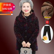 愛雅媽雅中老年女裝媽媽冬裝棉服奶奶裝棉衣寬松加絨富態(tài)60歲70老太太棉襖 （明M-2308風尾紫+絨褲）套裝 XL 適合（70-90斤）