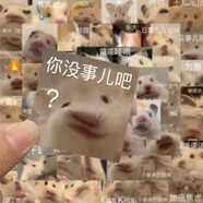 伴米 2024新款124張鼠鼠表情包貼紙搞笑沙雕裝飾創(chuàng)意趣味倉鼠高顏值手賬貼畫 248張鼠鼠表情包4套重復