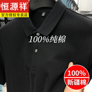 恒源祥2025重磅純棉polo衫男短袖t恤翻領(lǐng)春夏季純色商務(wù)休閑衫高級(jí)感 黑色(短袖) XL (適合135-150斤)