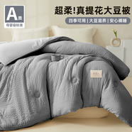 南極人（NanJiren）大豆纖維被子冬季1.5米x2米加厚棉被子被芯200x230cm單人春秋被褥 南極人-硯池灰【A類提花大豆被】 150x200cm【約重6斤冬被】