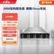 韋派圖 國產(chǎn)化電腦ARM64架構(gòu)處理器linux銀河麒麟V10服務(wù)器操作系統(tǒng)debian deepin臺式主機鯤鵬歐拉系統(tǒng) 套餐四（國產(chǎn)ARM服務(wù)器泰山鯤鵬  麒麟系統(tǒng)） 單主機
