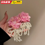 巴克樂(lè )樂(lè )銀針花朵蝴珍珠蝶結流蘇耳環(huán)韓國夸張長(cháng)款波西米亞耳墜超仙耳飾女 銀針-粉色