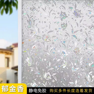 皇昇外面看不到里面透光不透明窗戶(hù)自粘磨砂貼紙玻璃貼膜廁所防窺膜 炫彩郁金香-防窺不透明+工具 2米長(cháng)*45厘米寬