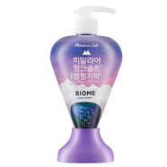 竹鹽進(jìn)口LG竹鹽喜馬拉雅鹽粉鹽按壓式牙膏 清幽花香亮白清新口氣異味 沁爽薄荷285g*1 新包裝