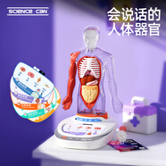 科學(xué)罐頭（Science  can）兒童節(jié)日禮物人體模型語(yǔ)音百科4-10歲兒童男女孩益智玩具生日