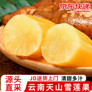 京愿 云南特產(chǎn)天山雪蓮果 天山紅泥沙雪蓮果紅心新鮮水果生鮮水果 精選 10斤 （凈重9斤）