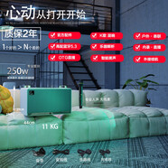 雅米塞爾雅米級250W音響吉他彈唱K歌直播電吹管內錄聲卡戶(hù)外藍牙音箱 戶(hù)外款250W-標配-1無(wú)線(xiàn)