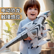 京達(dá)玩具遙控恐龍玩具電動(dòng)霸王龍機(jī)器人男孩玩具兒童生日禮物