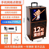 索愛（soaiy）K10廣場(chǎng)舞音響帶顯示屏幕戶外k歌音箱唱ktv家用一體機(jī)看電視 【12英寸重低音】手機(jī)網(wǎng)絡(luò)點(diǎn)歌+雙話筒+U盤