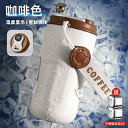 名銳（MINGRUI）水杯男女保溫咖啡杯保冷杯冰霸杯學(xué)生車載刻字定制LOGO畢業(yè)禮物 【升級智能顯溫】咖420ml+2*冰塊