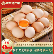 荊品名門雞蛋 新鮮雞蛋 正宗散養(yǎng)雞蛋 生雞蛋 12枚 480g