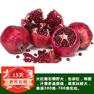 綠達【買(mǎi)2顆送1顆】嫁接車(chē)厘子樹(shù)苗大櫻桃樹(shù)苗盆栽果樹(shù)苗木南北方種植 無(wú)籽大紅袍石榴樹(shù)苗 十五年大苗（庭院種植）不活包補