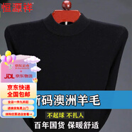 恒源祥高檔鄂爾多市純羊毛絨衫高領(lǐng)毛衣男產(chǎn)中老年秋冬加厚保暖打底衫 半高領(lǐng)黑色 170/L建議120-135斤