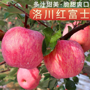 洛川蘋(píng)果陜西延安特產(chǎn)紅富士時(shí)令蘋(píng)果水果禮盒送蘋(píng)果生鮮新鮮脆甜整箱批發(fā) 凈重8.5斤 70-75mm彩箱裝 爆賣(mài)