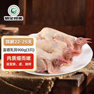 硒全食美富硒乳鴿 凈重900g(300g*3只) 冷凍 燒烤食材生鮮鴿子肉