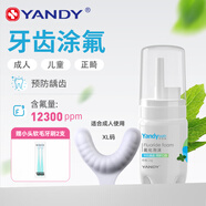 嚴迪YANDY氟化泡沫牙齒涂氟劑 兒童成人家用涂氟正畸含氟牙膏醫用防蛀 氟化泡沫10g薄荷味+XL牙托
