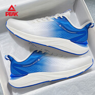 匹克（PEAK）男鞋態(tài)極跑步鞋子男2025秋冬新款網(wǎng)面透氣跑鞋輕便軟底運動(dòng)鞋男士 米白/彩蘭 44