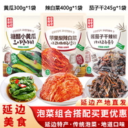 金剛山辣白菜韓國泡菜組合實(shí)惠裝韓式泡菜腌制蔬菜下飯菜500g*3袋 辣白菜+黃瓜+醬茄子干辣椒-各1袋
