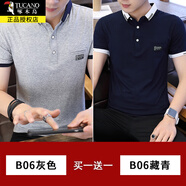 啄木鳥短袖t恤男士純棉Polo夏季T恤翻領(lǐng)中青年男裝半袖衫衣服打底衫 20917-1/1817灰色+1817藏青 M