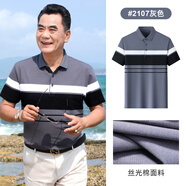 鹿竹新款爸爸夏裝短袖t恤絲光棉中老年男裝中年男士POLO衫夏季上衣服 2107-灰色 2XL 【175斤-195斤】