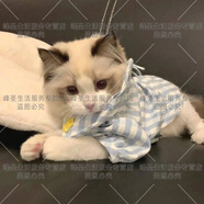一毛錢(qián)壁紙專(zhuān)區0.1元自動(dòng)秒發(fā)0.01商品一分錢(qián)可愛(ài)貓圖片電腦手機桌面壁紙頭像素材