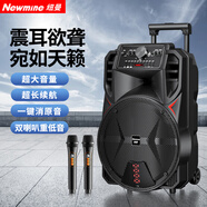 紐曼N509廣場(chǎng)舞音響移動(dòng)家用戶(hù)外K歌藍牙音箱拉桿便攜式重低音大音量超長(cháng)續航雙麥 15吋