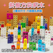 云珀number blocks數(shù)字積木圓孔版平替拼裝材料幼兒園拼插積木 袋裝 袋裝 圓孔數(shù)字方塊1-10套裝 100