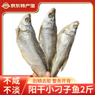鄂峰 翹嘴魚大白刁 白魚武昌魚湖北特產(chǎn)咸魚腌魚風(fēng)干小刁子魚整條年貨 陽干小刁子魚250g*4袋