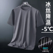 南極人網(wǎng)眼短袖t恤男士夏季大碼冰絲薄款速干運(yùn)動(dòng)休閑透氣工地干活衣服 深灰色 2XL